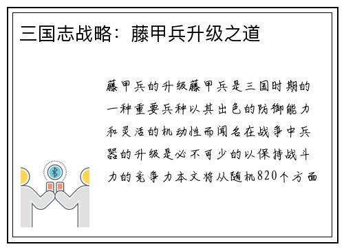 三国志战略：藤甲兵升级之道